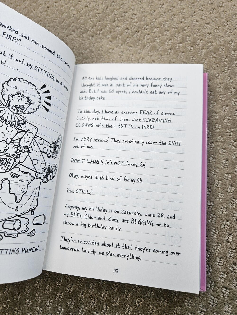 Dork Diaries #13 & Sunny Side Up book bundle - Picture 7 of 9